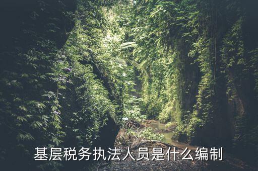 基層稅收執(zhí)法干什么的，基層稅務(wù)執(zhí)法人員是什么編制