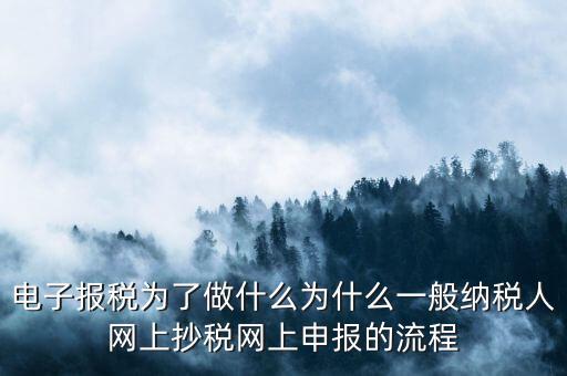 電子稅務(wù)申報(bào)是什么來的，電子申報(bào)納稅是怎么回事給報(bào)送紙質(zhì)申報(bào)材料一樣嗎