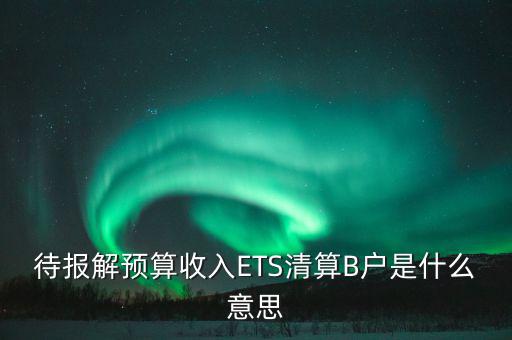 地稅b戶是什么，待報(bào)解預(yù)算收入ETS清算B戶是什么意思