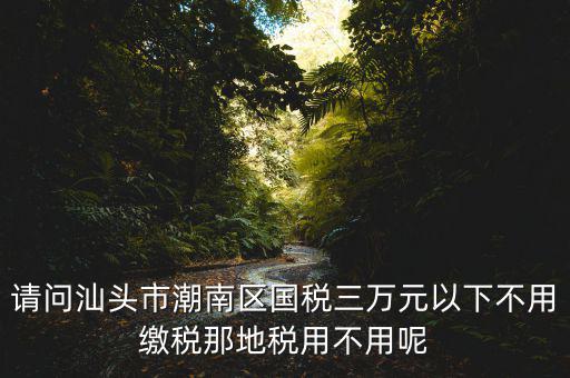 國稅3萬元不到地稅要交什么稅，請問汕頭市潮南區(qū)國稅三萬元以下不用繳稅那地稅用不用呢