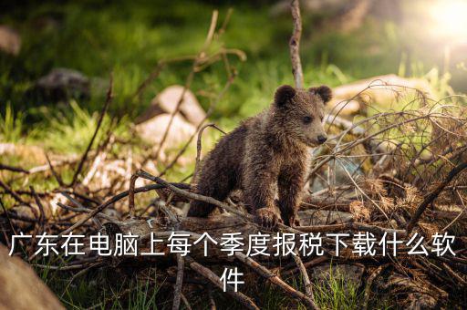 什么是報(bào)稅的客戶端呢，河北國(guó)稅網(wǎng)上申報(bào)客戶端和防偽稅控納稅接口 不都是報(bào)稅系統(tǒng)嗎 它