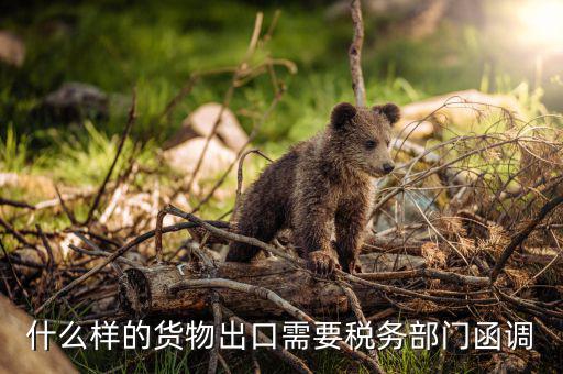 為什么要出口復(fù)函，國(guó)稅局函調(diào)后對(duì)方國(guó)稅局回復(fù)說(shuō)貨物流常請(qǐng)問能否讓對(duì)方二次復(fù)