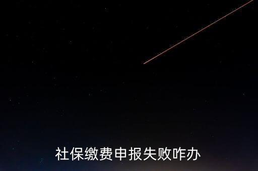 社保費(fèi)申報(bào)為什么進(jìn)不去，社保繳費(fèi)申報(bào)失敗咋辦
