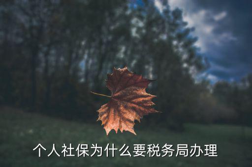社會(huì)保險(xiǎn)繳納和稅務(wù)局什么關(guān)系，社保為什么要稅務(wù)部門征收
