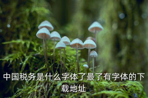 中國稅務(wù)是什么字體，中國稅務(wù)是什么字體了最了有字體的下載地址