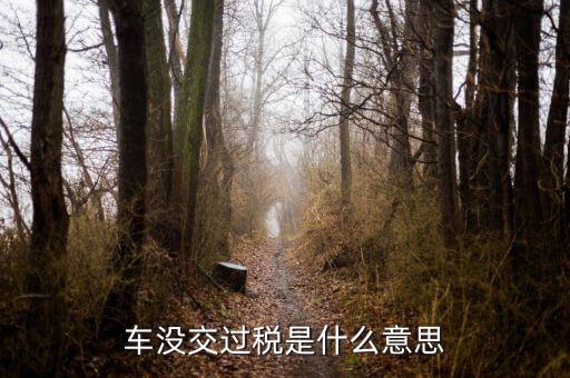 過(guò)稅是什么意思，車沒(méi)交過(guò)稅是什么意思