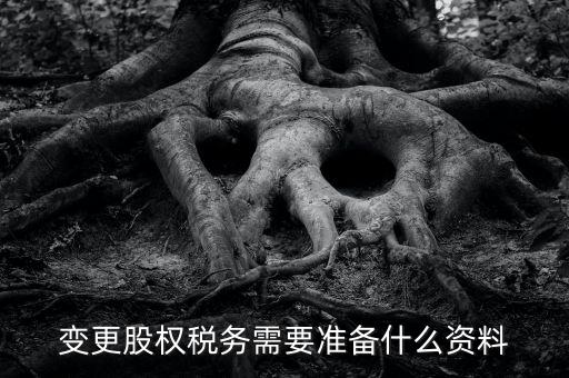 股權變更完稅憑證需要什么資料，變更股權稅務需要準備什么資料