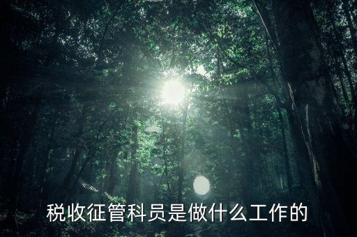 國稅局征管員和企業(yè)要做什么，稅收征管的公務(wù)員主要做什么工作