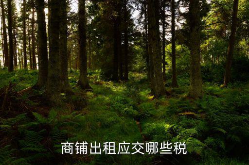 門面租賃稅是什么，商鋪出租應(yīng)交哪些稅