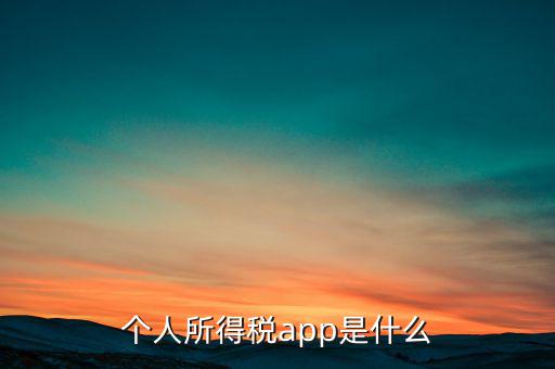 網(wǎng)上交稅要下載什么東西，個人所得稅官網(wǎng)登錄企業(yè)個人所得稅要下載什么端口申報