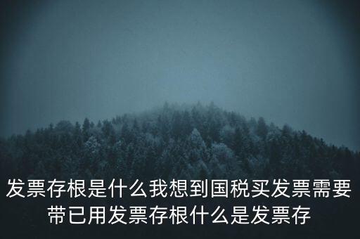 發(fā)票電子存根是什么，發(fā)票存根是什么