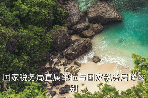 國(guó)稅局直屬單位是什么意思，國(guó)稅局是什么單位