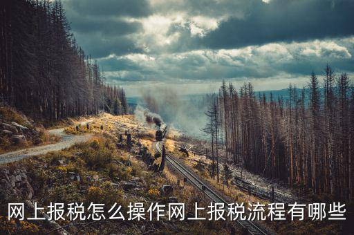 網(wǎng)上交稅要下載什么，個人所得稅官網(wǎng)登錄企業(yè)個人所得稅要下載什么端口申報