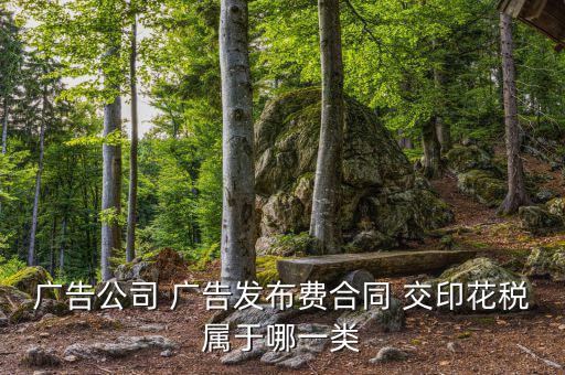 線上廣告發(fā)布屬于什么印花稅，廣告公司 廣告發(fā)布費 交印花稅屬于哪一類