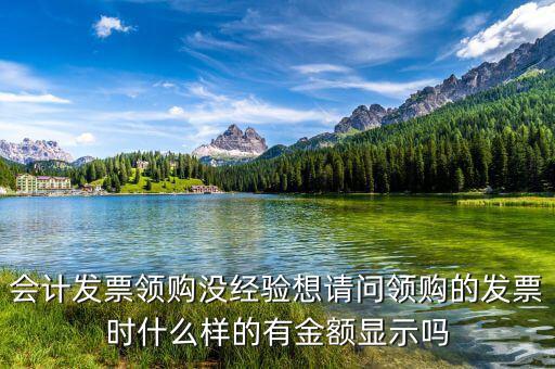 會(huì)計(jì)發(fā)票領(lǐng)購沒經(jīng)驗(yàn)想請問領(lǐng)購的發(fā)票時(shí)什么樣的有金額顯示嗎