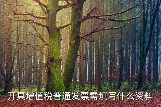 開增值稅普通需要什么資料，開增值稅票需要什么資料