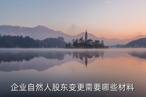 變更自然人登記業(yè)務(wù)需要帶什么，企業(yè)自然人股東變更需要哪些材料