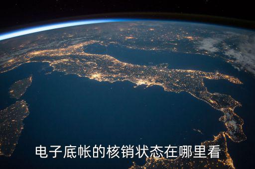電子底帳的核銷(xiāo)狀態(tài)在哪里看