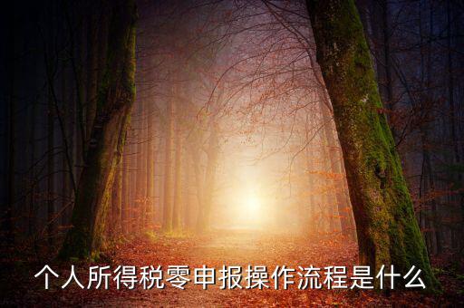 扣繳稅款登記主要流程是什么，納稅流程是怎樣的