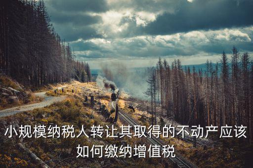 小規(guī)模納稅人轉讓其取得的不動產應該如何繳納增值稅