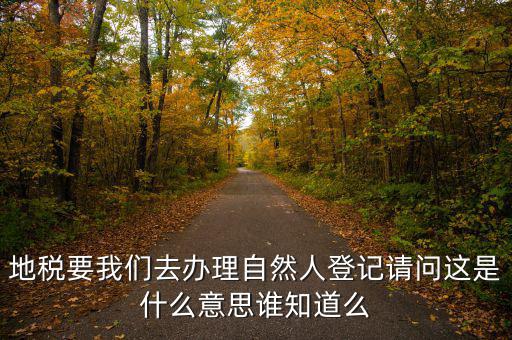 辦稅自然人登記是什么意思，申請人為自然人的是什么意思