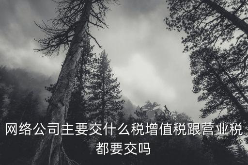 互聯(lián)網(wǎng)企業(yè)交什么稅，互聯(lián)網(wǎng)公司在稅收上有何政策