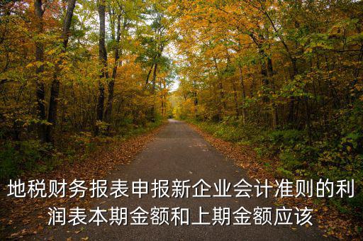 地稅利潤表的上期金額指什么，新會計(jì)制度下利潤表中本期金額和上期金額是什么意思