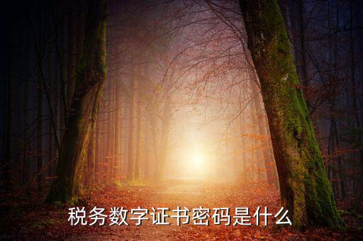 湖北地稅ca登錄密碼是什么意思，地稅CA證書如何解密碼