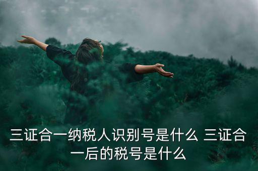 三證合一后稅號(hào)是什么，三證合一納稅人識(shí)別號(hào)是什么 三證合一后的稅號(hào)是什么