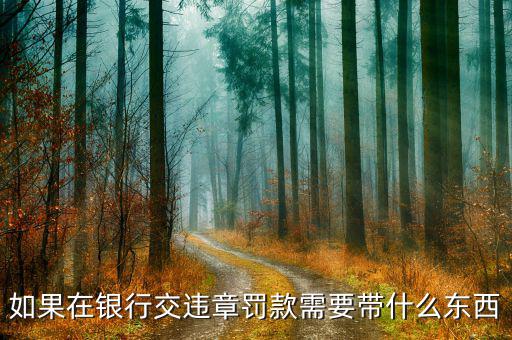 銀行端查詢繳款需帶什么，銀行端查詢繳稅業(yè)務如何辦理