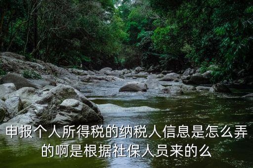 納稅人信息包括什么，申報(bào)個(gè)人所得稅的納稅人信息是怎么弄的啊是根據(jù)社保人員來(lái)的么