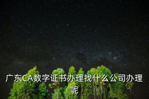 廣東CA數字證書辦理找什么公司辦理呢