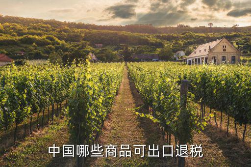 什么貨物出口可以退稅，中國(guó)哪些商品可出口退稅