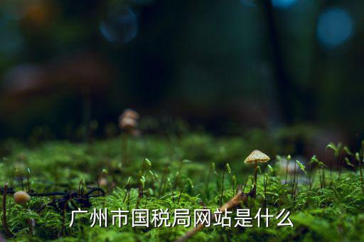 國稅局登陸信息網(wǎng)址是什么，國家稅務(wù)總局網(wǎng)站