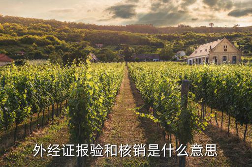 核銷(xiāo)報(bào)驗(yàn)登記是什么，稅務(wù)核銷(xiāo)報(bào)驗(yàn)什么意思