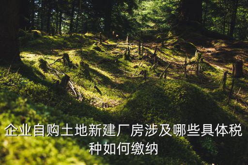 買地建廠房有什么稅，我們工廠是買了一塊地皮然后造了廠房請問土地使用需要交什么