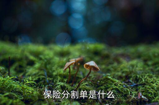 分割單 是什么意思，保險分割單是什么
