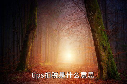 國(guó)稅tips系統(tǒng)指什么意思，電子對(duì)賬單上摘要一欄寫(xiě)有tips是什么意思