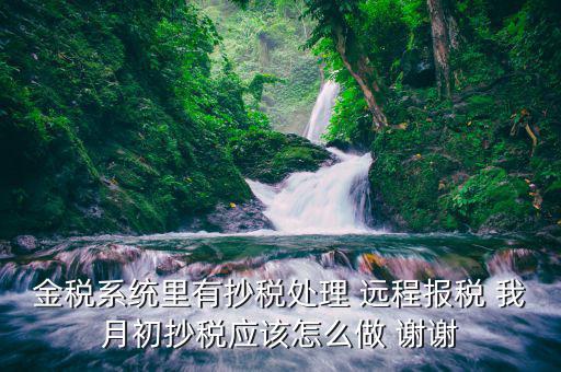 通過航天遠(yuǎn)程申報讀卡器讀寫數(shù)據(jù)是個什么樣的過程，金稅系統(tǒng)里有抄稅處理 遠(yuǎn)程報稅 我月初抄稅應(yīng)該怎么做 謝謝