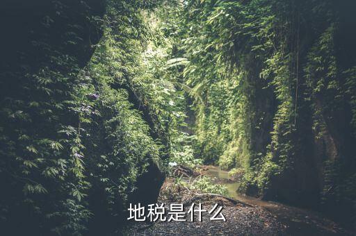 地稅初心是什么，初心使命指的是什么