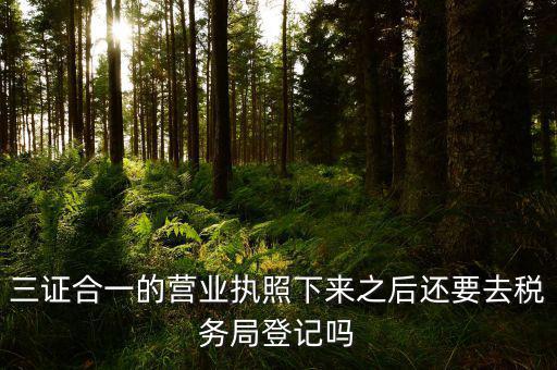 辦完三證合一 要去稅局做什么，三證合一后還需要去國地稅做些什么啊