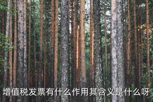 要發(fā)票有什么用，發(fā)票有哪些作用呢