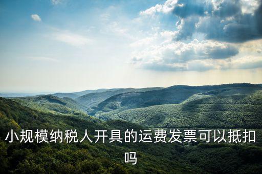 什么樣的運費票可以抵，運輸費增值稅都能用什么票抵扣