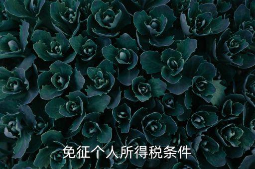 四業(yè)免征個人所得稅有什么要求，個人所得稅減免稅有哪些要求