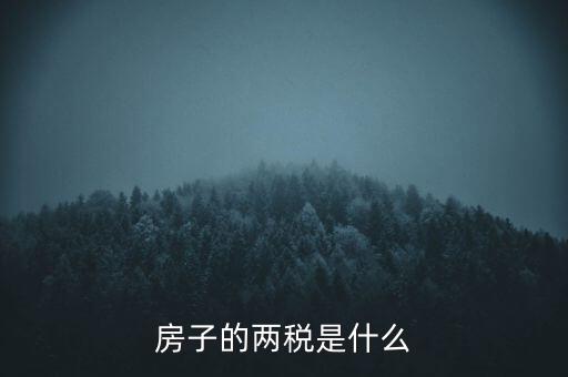 兩稅清查是指什么，房子的兩稅是什么