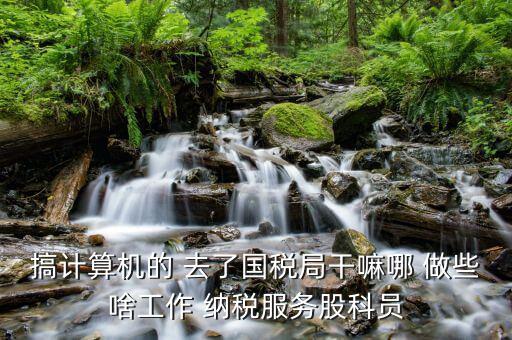 自動化進(jìn)國稅局做什么，國稅是做什么工作的
