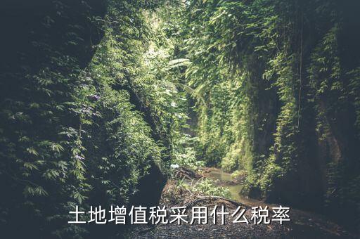 土地增值稅用什么稅率，土地增值稅采用什么稅率