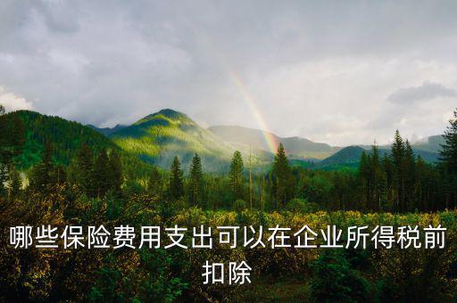 什么保險可以稅前扣除，哪些保險費用支出可以在企業(yè)所得稅前扣除