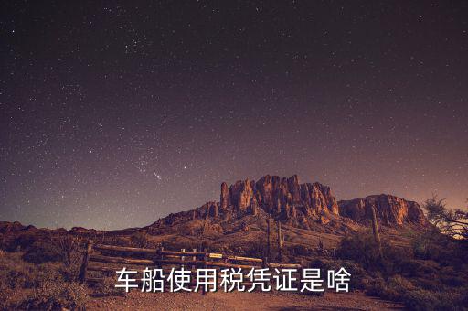 車船稅繳納憑證是什么意思，車船使用稅憑證是啥