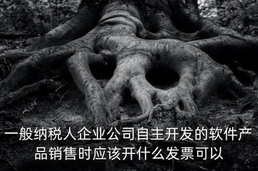 賣軟件交什么稅，一般納稅人企業(yè)公司自主開發(fā)的軟件產(chǎn)品銷售時應該開什么發(fā)票可以